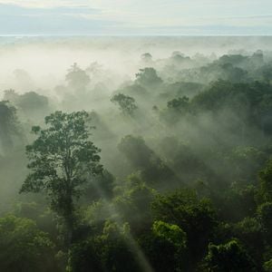 Foto Los límites de nuestro planeta: Una mirada científica