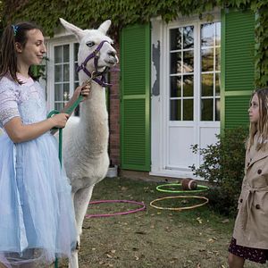 Foto ¿Quién es quién?