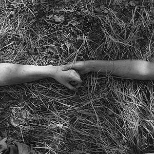 Foto El pájaro pintado