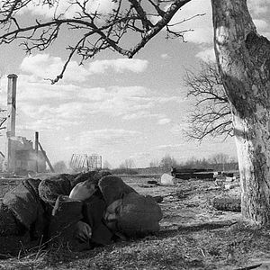 Foto El pájaro pintado