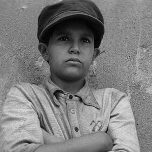 Foto El pájaro pintado