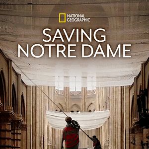 Foto Salvar Notre Dame