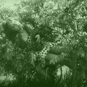 Foto 20.000 leguas de viaje submarino