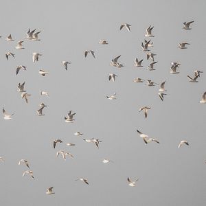 Foto El silencio que queda