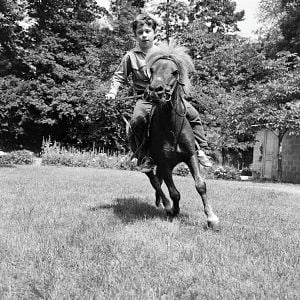 Foto Mehdi El Glaoui