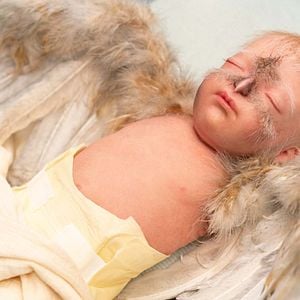 Foto Sweet Tooth: El niño ciervo