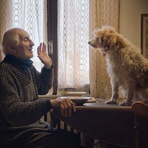 Foto Cazadores de trufas