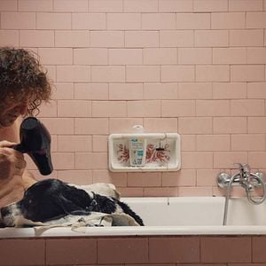 Foto Cazadores de trufas