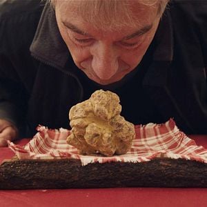 Foto Cazadores de trufas