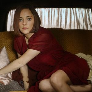 Foto Marion Cotillard