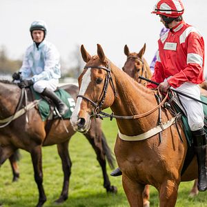 Foto Caballo soñador