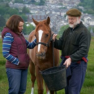 Foto Caballo soñador