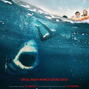 Foto Tiburón blanco