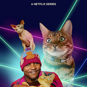 Foto Locos por los gatos