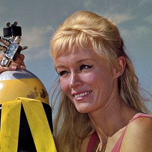 Foto Jugando con tiburones