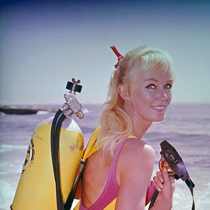 Foto Jugando con tiburones