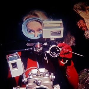 Foto Jugando con tiburones