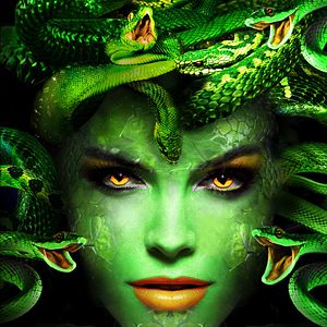 Foto Medusa