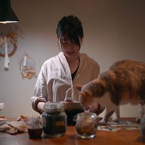 Foto Locos por los gatos