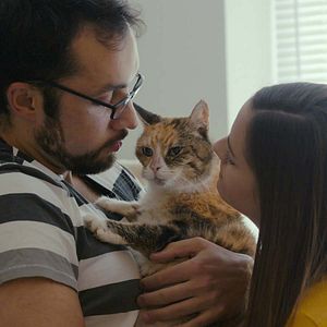 Foto Locos por los gatos