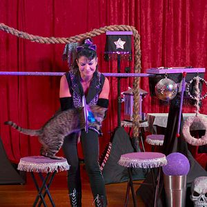 Foto Locos por los gatos