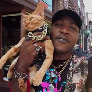 Foto Locos por los gatos