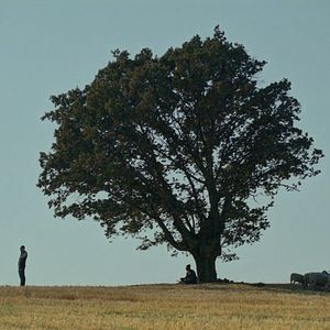 Foto La promesa de Hasan