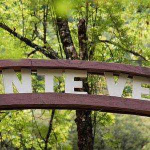 Foto La fotógrafa de Monte Verità