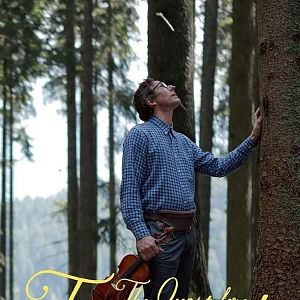 Foto En busca del violín perfecto