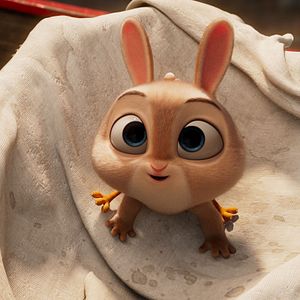 Foto Hopper, el polloliebre