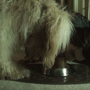 Foto Nuevo sabor a cereza