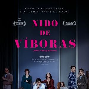 Foto Nido de víboras