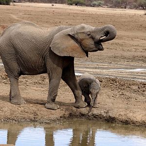 Foto Crecer como animal