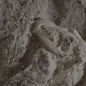 Foto Tesoros perdidos de Egipto