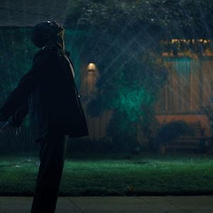 Foto Queridos blancos