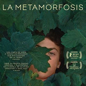 Foto La metamorfosis de los pájaros