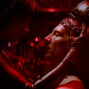 Foto Los perros no llevan pantalones