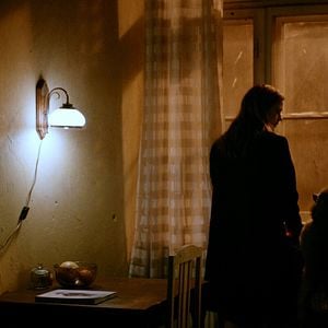 Foto Los perros no llevan pantalones