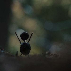 Foto El caso Hartung