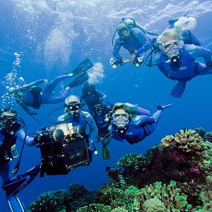 Foto Las maravillas del mar