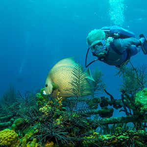 Foto Las maravillas del mar