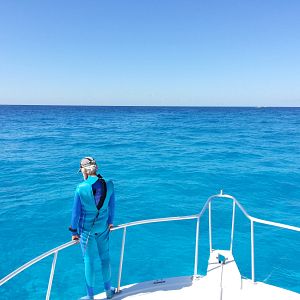 Foto Las maravillas del mar