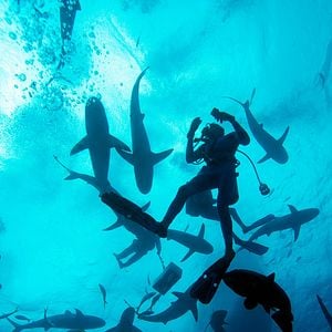 Foto Las maravillas del mar