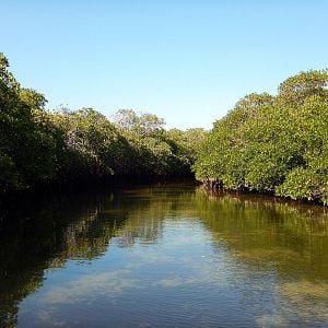 Foto Las maravillas del mar