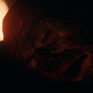 Foto El superviviente