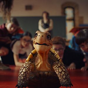 Foto El colegio de animales mágicos