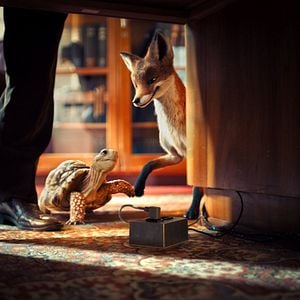 Foto El colegio de animales mágicos