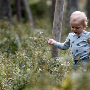 Foto Habitación 301
