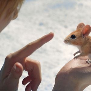 Foto El chico que salvó la Navidad