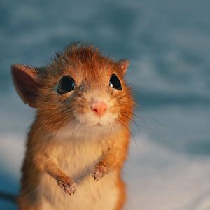 Foto El chico que salvó la Navidad